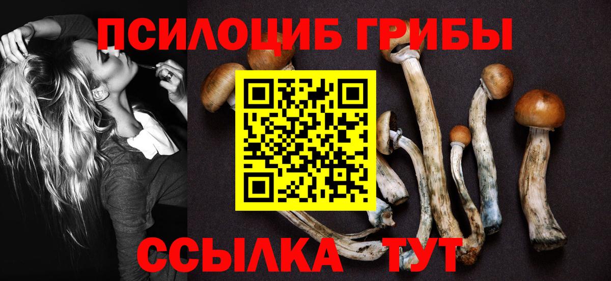 Псилоцибиновые грибы мицелий  Псилоцибиновые грибы GOLDEN TEACHER  Тула  Вход с VPN 